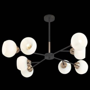 Black and Gold Chandelier